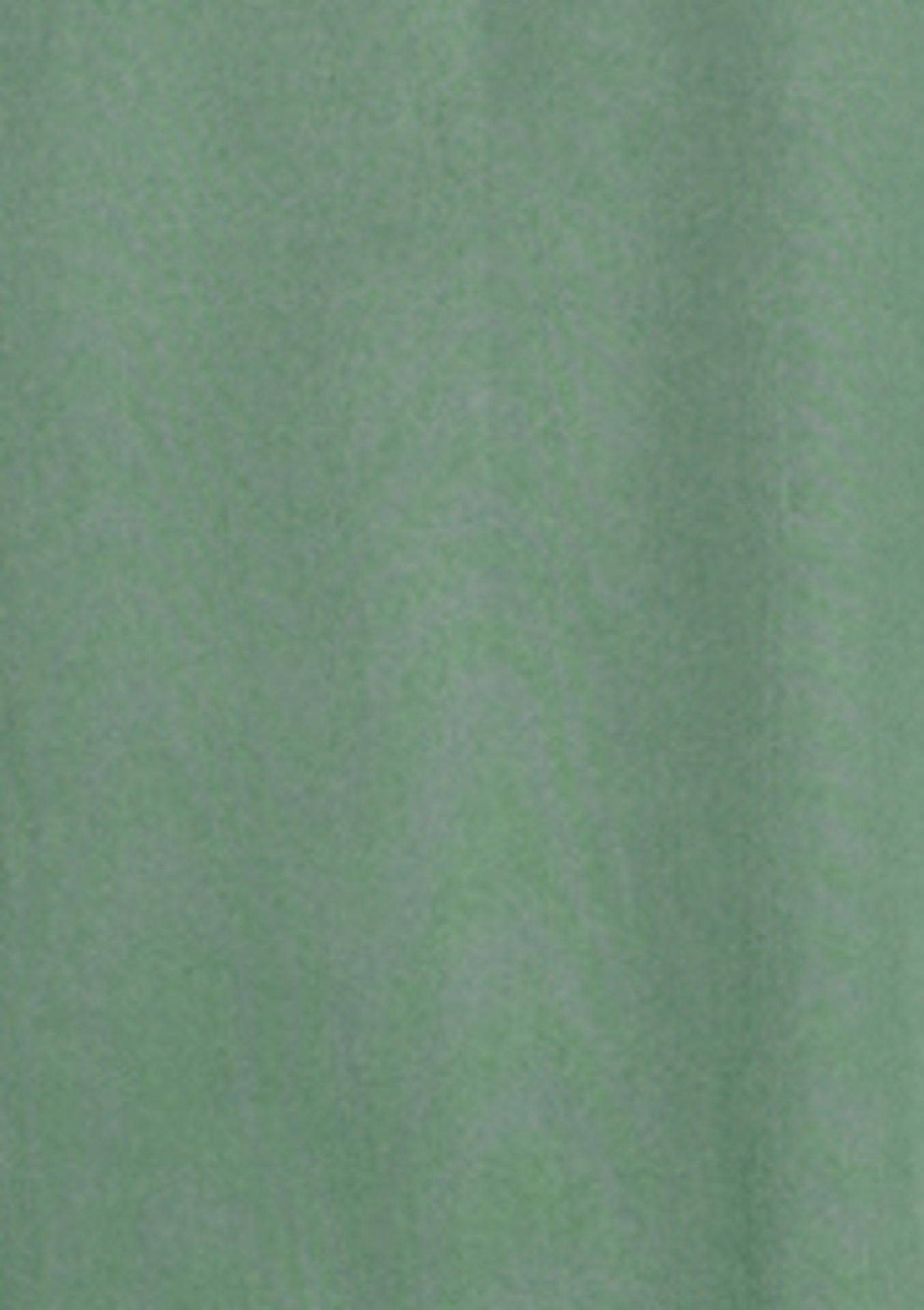 THE ECHO PARK TOP
