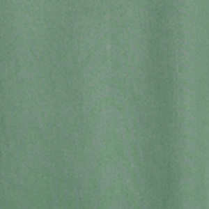 THE ECHO PARK TOP